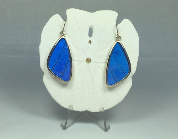 BLUE MORPHO Butterfly Wing Earrings// Butterfly Wing Jewelry// AUTHENTIC Butterfly Wings// Eco Friendly Jewelry// Statement Jewelry