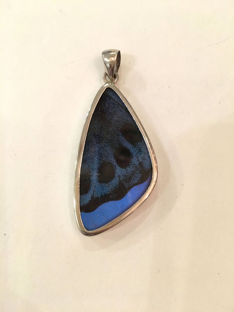 Statement Jewelry Collaged Butterfly Wing Pendant Butterfly Wing Jewelry AUTHENTIC Butterfly Wings Eco Friendly Jewelry