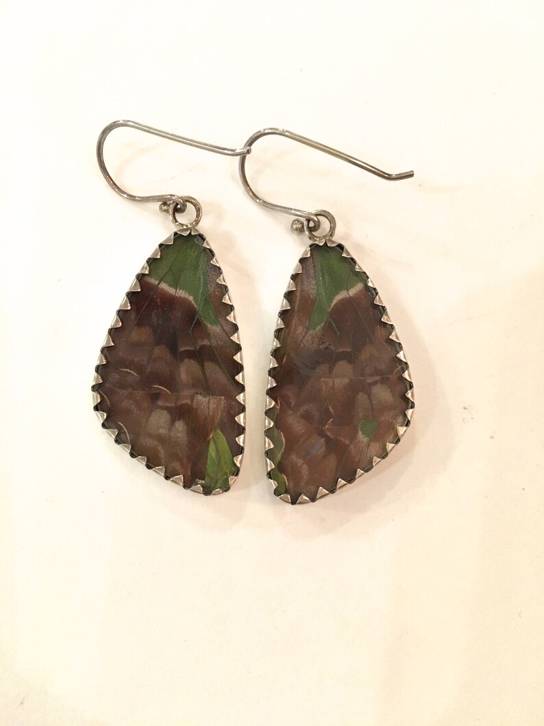 PURPLE SWALLOWTAIL Butterfly Wing Earrings Butterfly Wing Jewelry AUTHENTIC Butterfly Wings Eco Friendly Jewelry Statement Jewelry