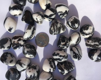 Beautiful Tumbled ZEBRA JASPER Healing Gemstone// Tumbled Jasper// Tumbled Stones// Polished Jasper// Healing Crystals// Healing Tools