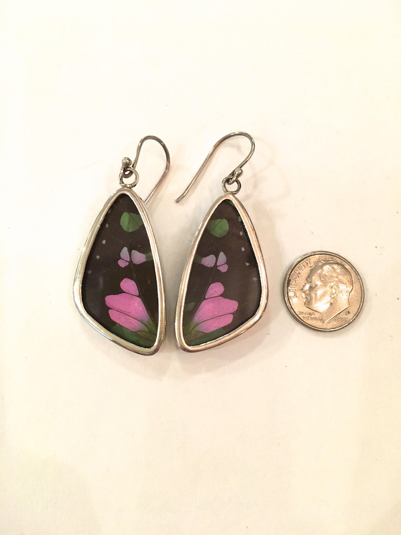 PURPLE SWALLOWTAIL Butterfly Wing Earrings Butterfly Wing Jewelry AUTHENTIC Butterfly Wings Eco Friendly Jewelry Statement Jewelry