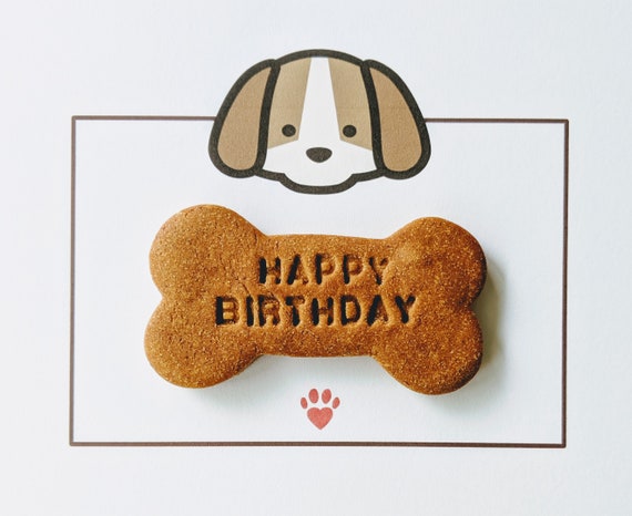 happy birthday dog treat