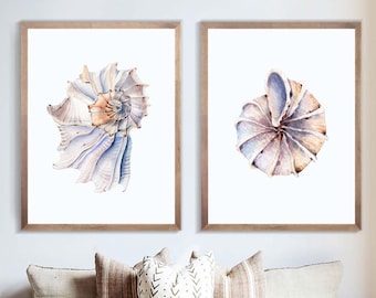 Seashell Prints Etsy