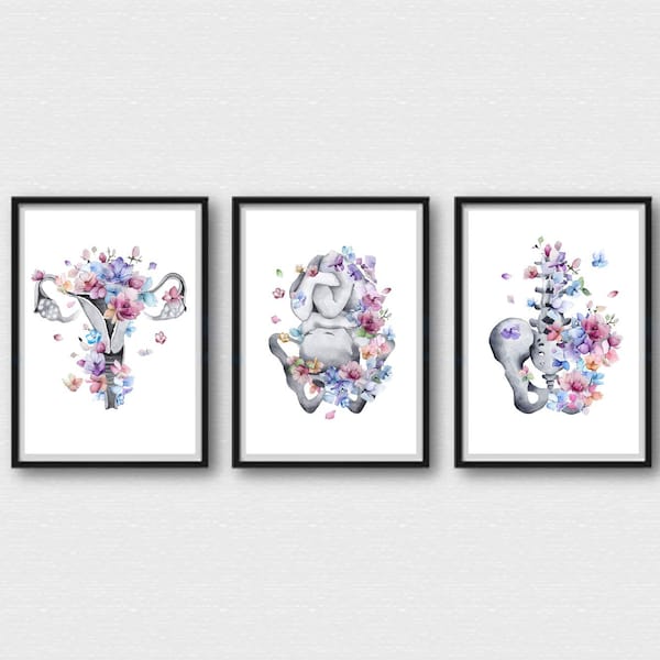 Pregnancy Anatomy Print Doctor Gift Reproductive System Baby in Womb Embryo Medicine Art Pelvis Gynecologist Gift Clinic Poster Decor A293