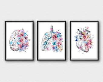 Human Brain Heart Lungs Set of 3 Watercolor Prints Anatomy Wall Art Science Medical Art Student Art Office Decor Gifts Medicine Poster A179