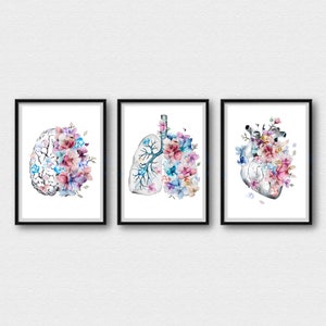 Human Brain Heart Lungs Set of 3 Watercolor Prints Anatomy Wall Art Science Medical Art Student Art Office Decor Gifts Medicine Poster A179