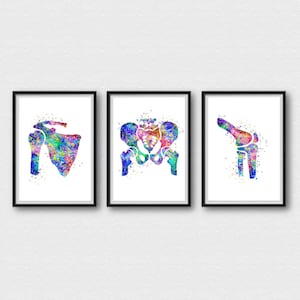 Shoulder Hip Knee Joint Prints Set of 3 Anatomy Wall Art Science Medical Art Doctor Art Watercolor Clinic Office Decor Medicine Gift A200