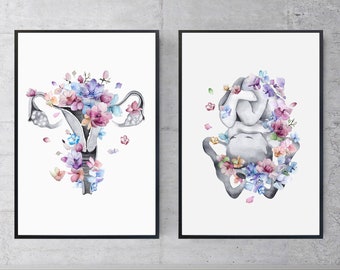 May include: Two framed prints with watercolor illustrations of the female reproductive system with flowers. The first print shows the uterus and fallopian tubes, the second print shows the pelvic bones.