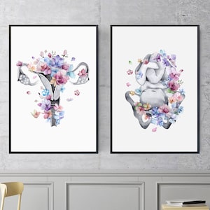 Bambino nell'utero Anatomia Stampa Dottore Regalo Sistema riproduttivo Embrione Medicina Arte Pelvi Ginecologo Regalo Clinica Gravidanza Poster Decor A292
