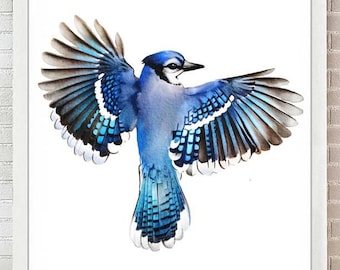 Blue Jay Art Print Birds Wall Art Aquarelle Peinture Décor Flying Bird Dessin Affiche Salon Décor BlueJay Anniversaire Cadeau A341