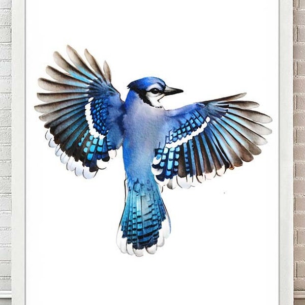 Blue Jay Art - Etsy