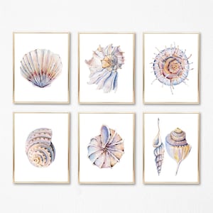 Set van 6 aquarel Seashell Art Prints, Seashell schilderijen, nautische oceaan muur decor, moderne Seashell tekeningen, zee abstracte posters A270