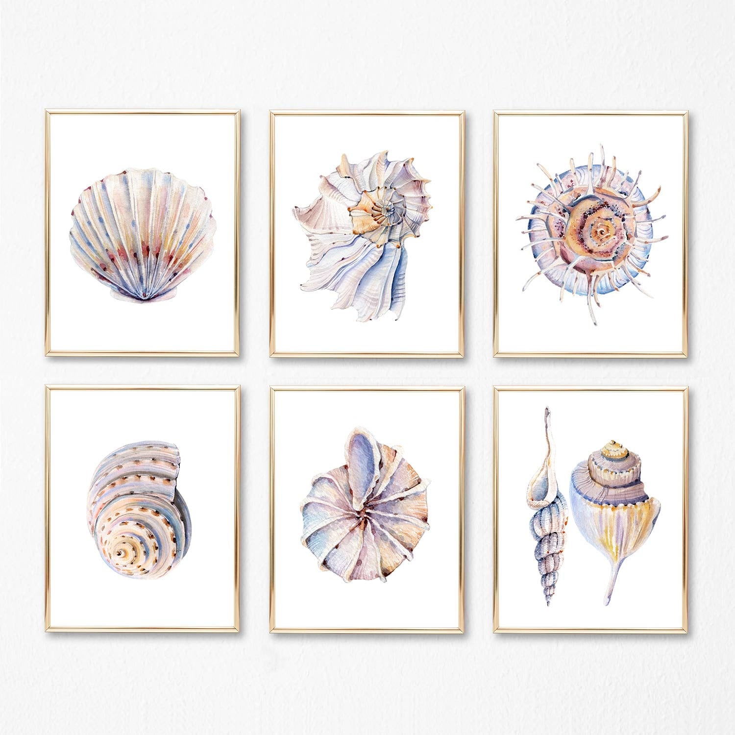 Set of 6 Watercolor Seashell Art Prints, Seashell Paintings, Nautical Ocean  Wall Decor, Modern Seashell Drawings, Sea Abstract Posters A270 