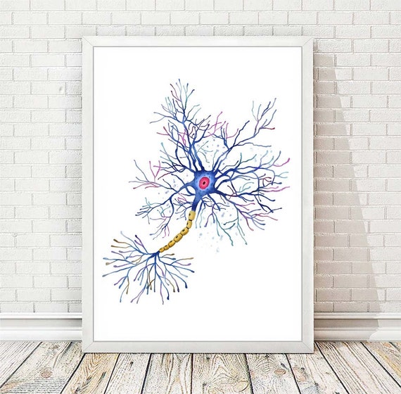 Nerve Cell Poster by Pixologicstudio - Fine Art America