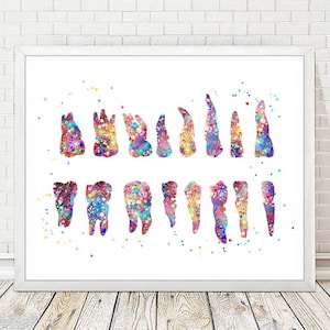 Tanden diagram afdrukken tand anatomie tandheelkundige tanden reflexologie grafiek aquarel kunst medische kliniek decor tandheelkunde tandartskantoor gift A223