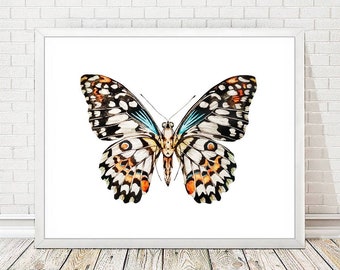 Butterfly Print, Butterfly Art Decor, Butterfly Watercolor Painting, Nursery Butterfly Drawing, Butterfly Lover Gift Poster Wall Art A340