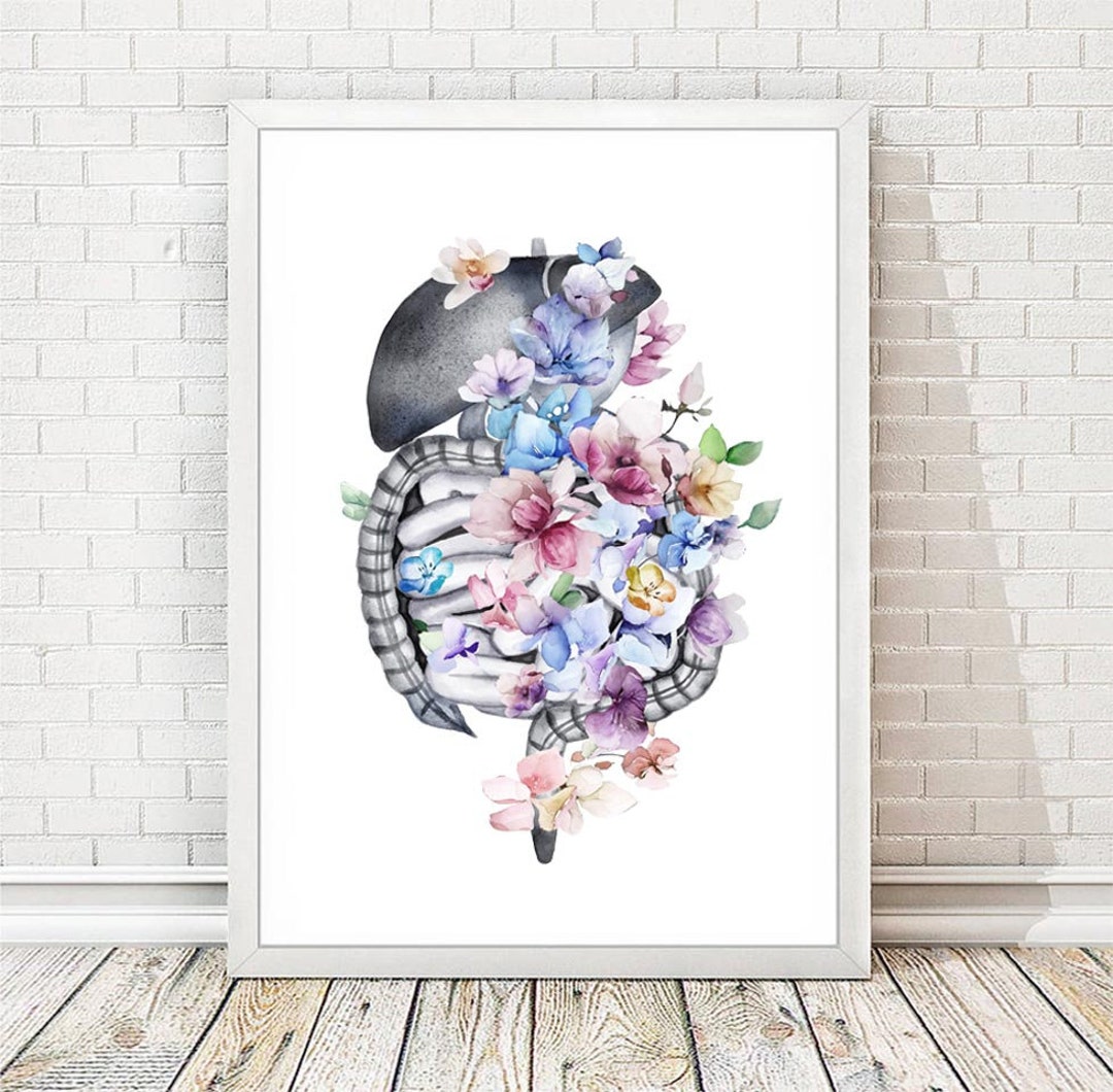 Digestive System Anatomy Print Anatomical Poster Digestive Tract ...