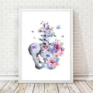 Pelvis Anatomy Print Doctor Gift Skeleton Bones Clinic Medicine Art Human Bone Gynecologist Gift Watercolor Poster Floral Office Decor A290