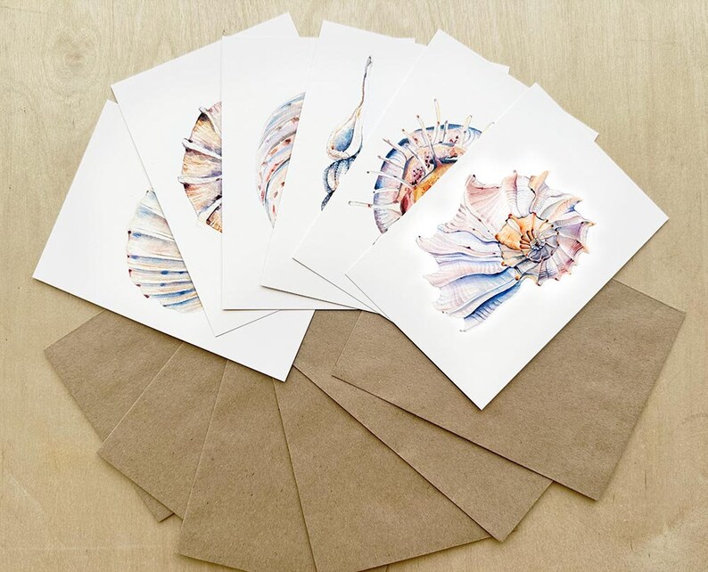 Peut inclure: Ensemble de six cartes de v&oelig;ux vierges illustrant des coquillages &agrave; l'aquarelle. Les cartes sont blanches avec des enveloppes brunes.