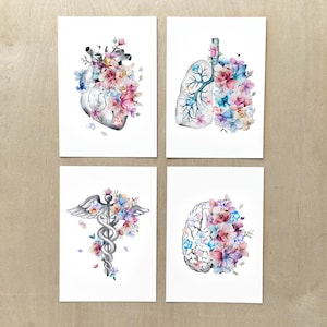 Set di 4 carte, carte mediche, set di carte di anatomia, cuore - cervello - polmoni - carte acquerello caduceo, chirurgo, infermiere, regalo medici