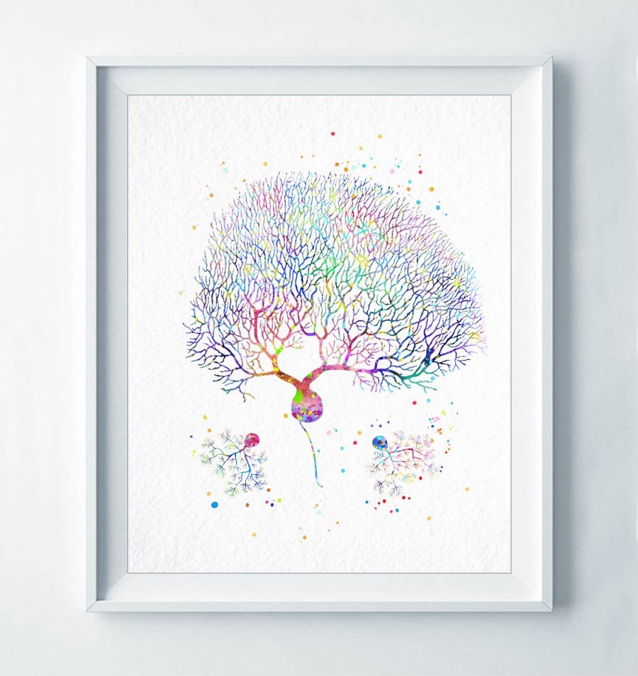Purkinje Neuron Print Brain Art Neuroscience Art Purkinje Cell ...