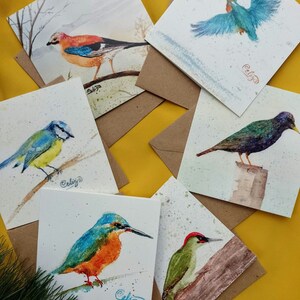 Op de afbeelding: Een verzameling aquarel wenskaarten met verschillende vogels. Elke kaart toont een andere vogelsoort, waaronder een blauwe ijsvogel, een rood-blauwe gaai en een groene specht. De kaarten worden gecombineerd met bruine enveloppen, wat een op de natuur geïnspireerd thema creëert.