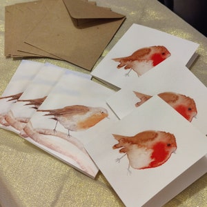 6 cartes de voeux Robin. 2 modèles, Round Robin et Robin « Disglair ». Enveloppes kaft recyclées. Cartes de Noël. Vésatile. Blanc à l'intérieur.