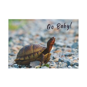 Allez bébé! Carte postale Turtle Fine Art