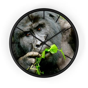 Puede incluir: Un primer plano de la cara de un gorila, con la boca abierta y hojas verdes en su mano. El gorila está mirando directamente a la cámara. La imagen está enfocada y los colores son vibrantes.