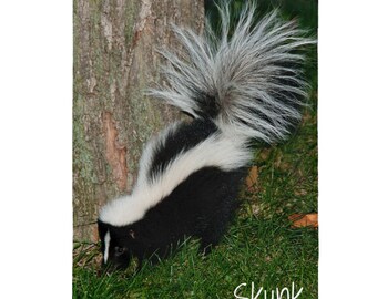 steiff skunk