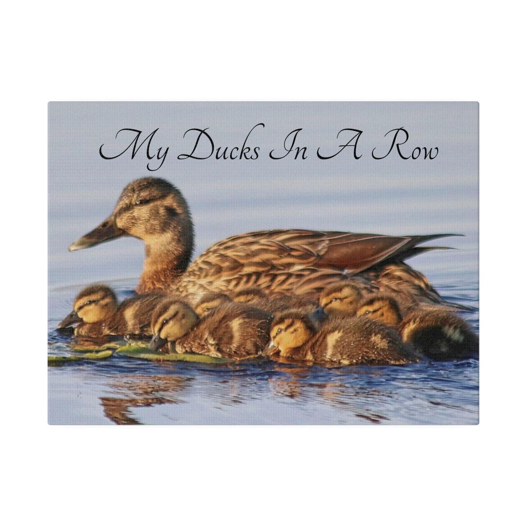 12"x9" My Ducks in A Row Matte Canvas, Stretched, 0.75" - Etsy