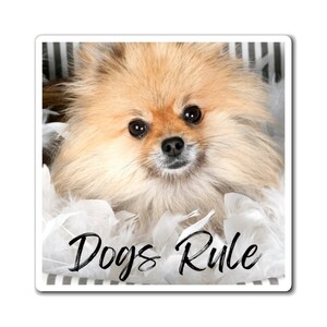 Dogs Rule Magnet