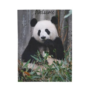 Panda Plush Velveteen Blanket: Cozy Nursery Decor, Animal Lover Gift