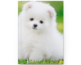 ポメラニアン・スピッツの子犬：リアルなぬいぐるみ犬、OOAK