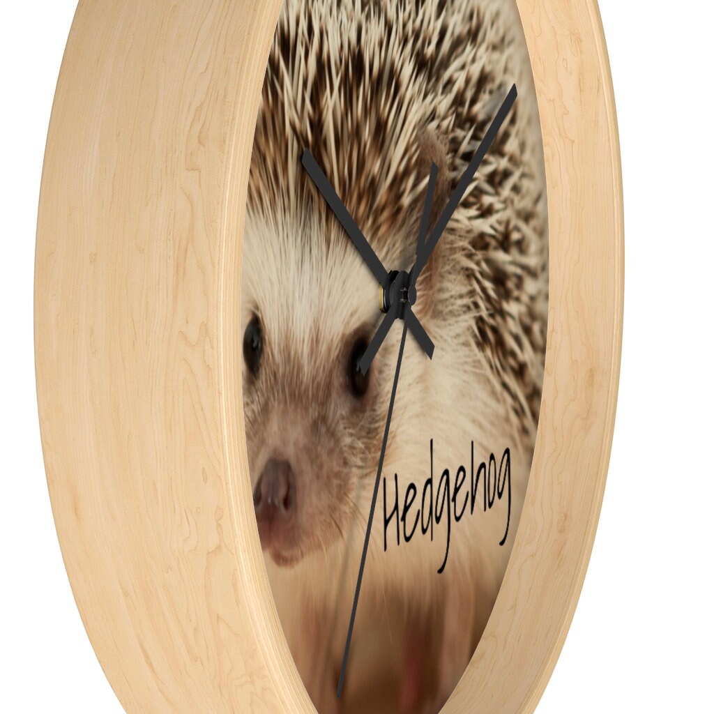 Sweet Adorable Hedgehog Wall clock