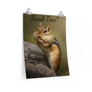 12”x16” Snack Time? Chipmunk Gopher Premium Matte vertical posters
