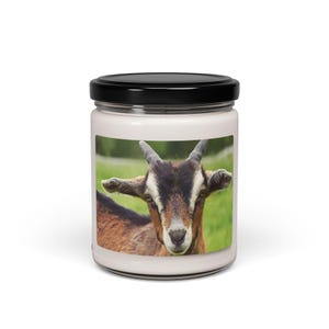 Goat Scented Soy Candle: Farmhouse Home Decor, Animal Lover Gift