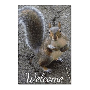 24&quot;x36&quot; Welcome Squirrel Area Rug