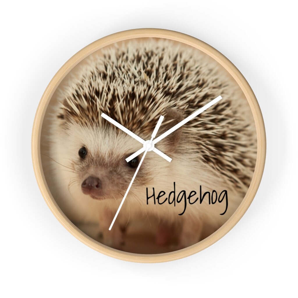 Sweet Adorable Hedgehog Wall clock