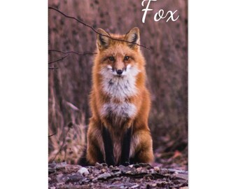 92 cm ALAZA Caroon Cute Fox with Crown Round Area Rug for Living Room Bedroom 3' Diameter 92 cm ALAZA Caroon Cute Fox with Crown Round Area Rug for Living Room Bedroom 3' Diameter