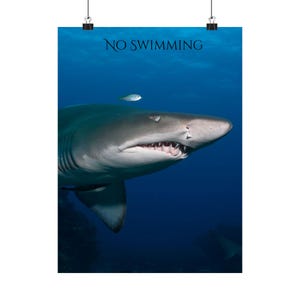 Shark Poster: Eye-Catching Ocean-Themed Wall Art