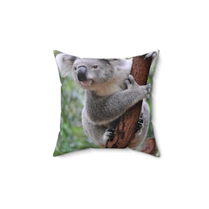Könnte beinhalten: Quadratisches Kissen mit einem Koala, der sich an einem Ast festhält. Der Koala ist grau mit weißen Akzenten und einer schwarzen Nase. Der Hintergrund ist ein verschwommenes Grün, das eine natürliche Umgebung im Freien suggeriert.