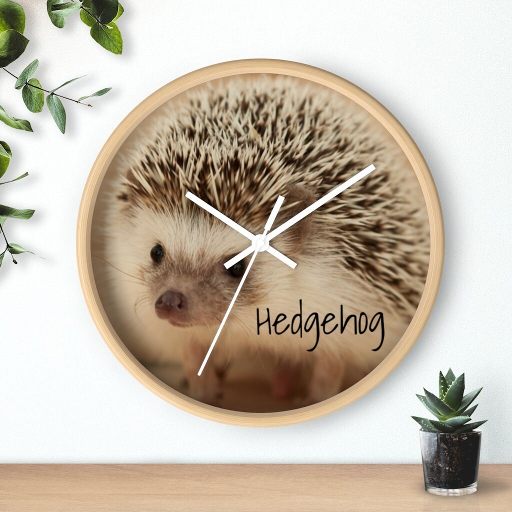 Sweet Adorable Hedgehog Wall clock
