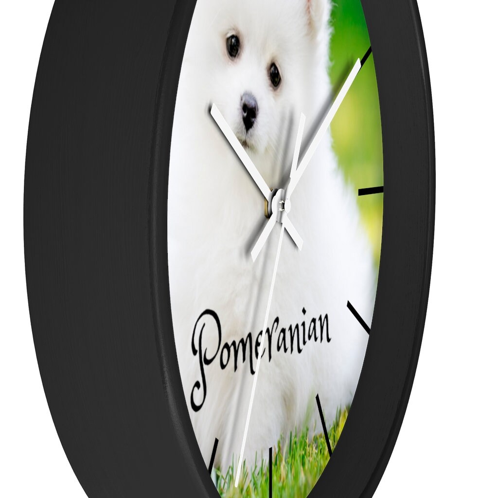 Cute Pomeranian Alarm Desk Clock 3.75" Home or Office Decor F10 Nice For Gift 