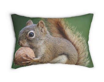 Red Squirrel with Nut lumbar pillow | Nature wildlife throw pillow
