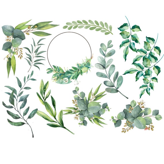 watercolor leaf clip art