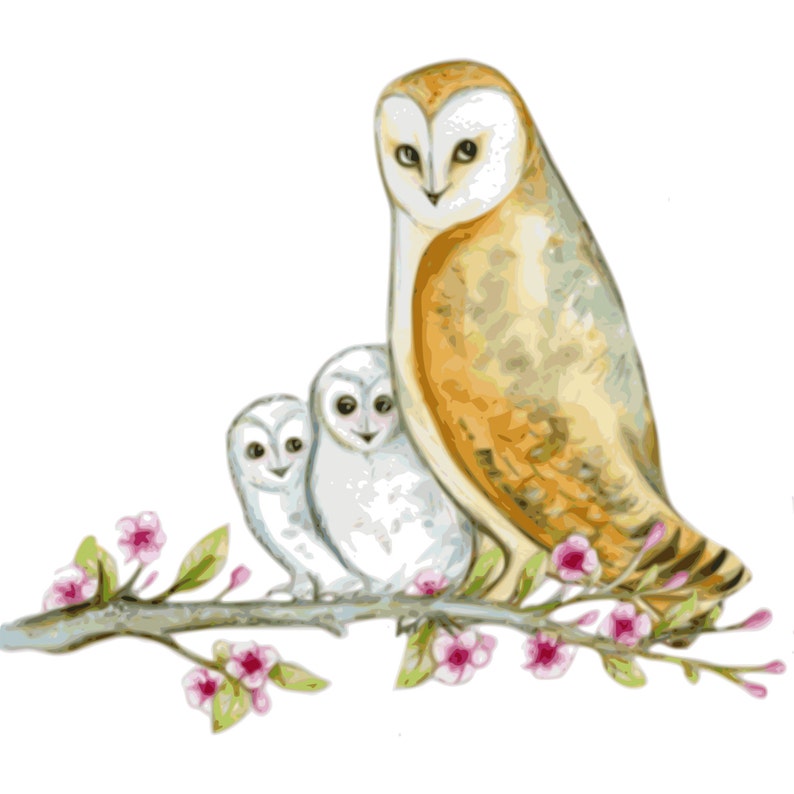 Owl Clip Art Barn Owl Clip Art Barn Owl Vector Cherry | Etsy