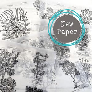 Vintage Botanical Illustrations | Translucent Paper Sheets for Journaling, Decoupage, and Mixed Media Art