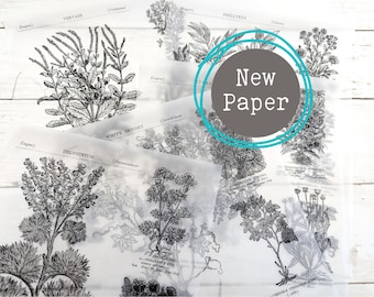 Vintage Botanical Illustrations | Translucent Paper Sheets for Art and Junk Journaling, Decoupage, and Mixed Media Collage
