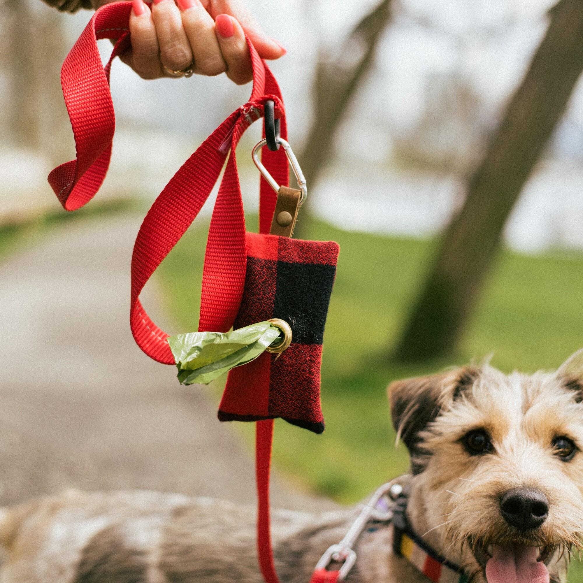 Dog lead with poop bag holder hotsell